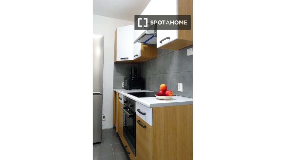 Double room Poznan, 5 beds, 65m² — photo 21