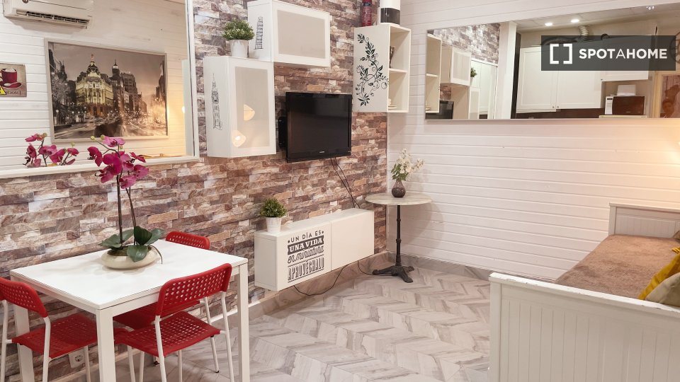 Apartment mono Madrid, 25m² — photo 1