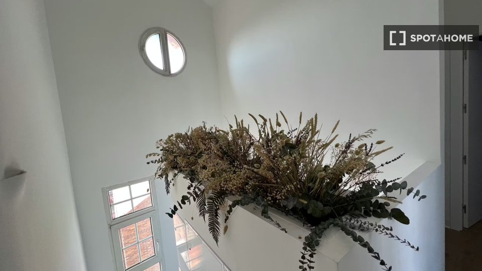 Apartment mono Madrid, 16m² — photo 8