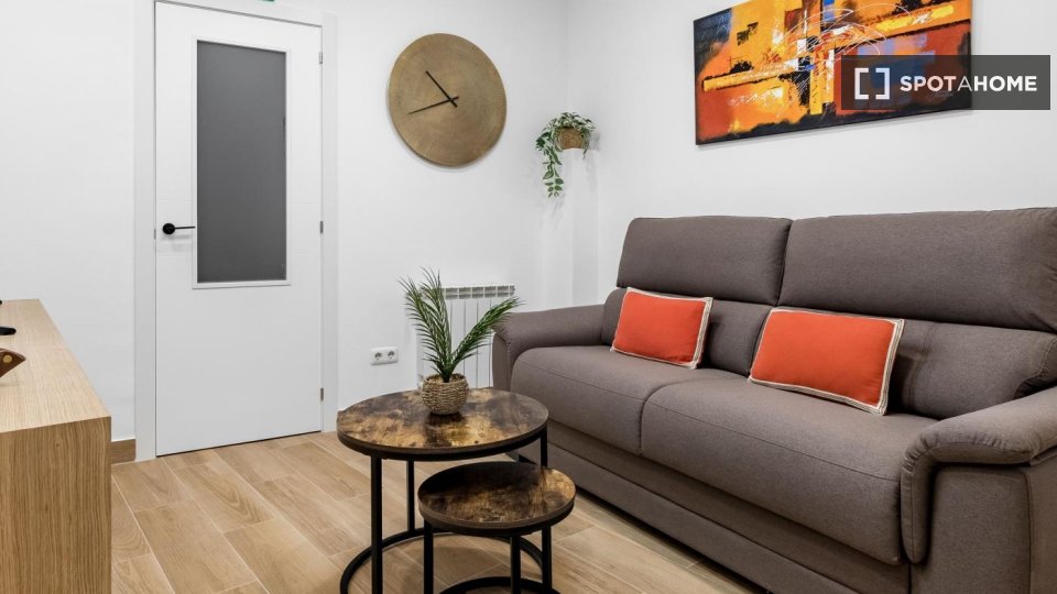 Apartment mono Madrid — photo 5