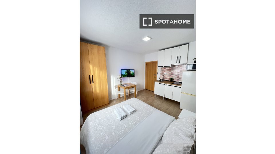 Apartment mono Madrid, 25m² — photo 21