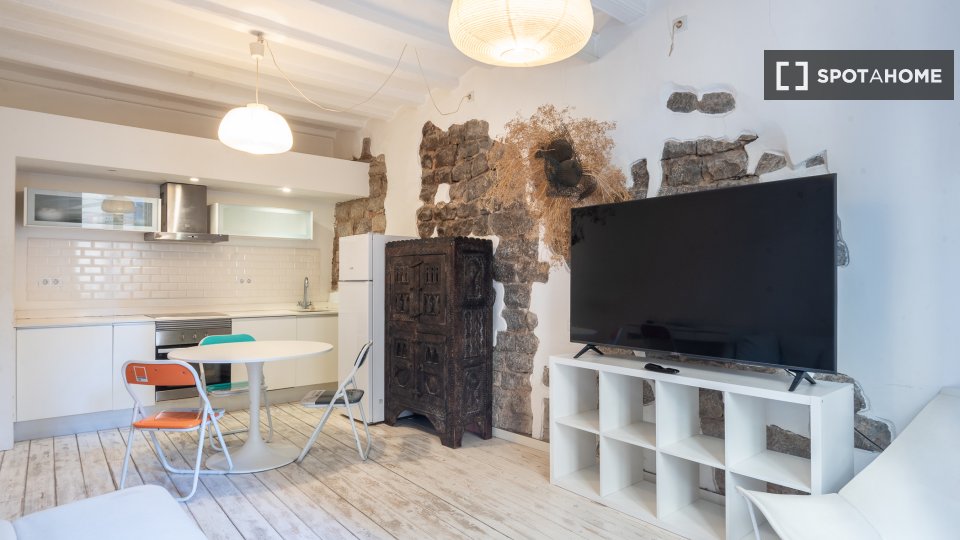 Apartment mono Barcelone, 45m² — photo 11