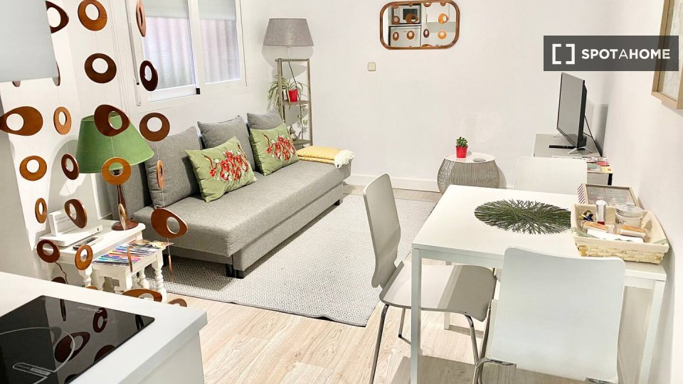 Apartment Madrid, 1 bed — photo 6