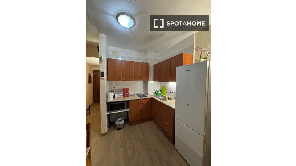 Apartment mono Santa_Cruz_De_Tenerife, 46m² — photo 14