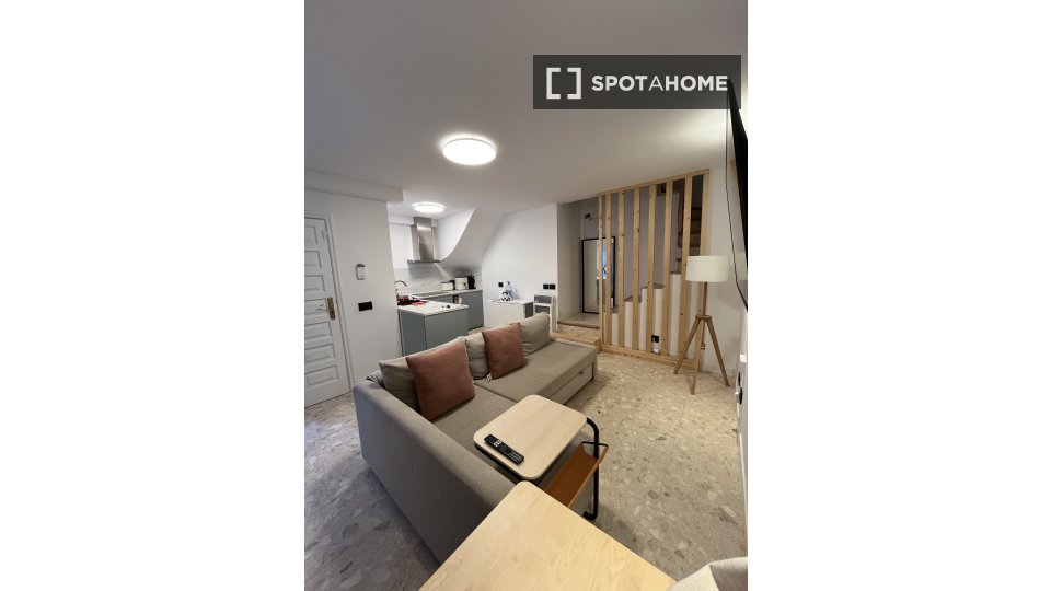 Apartment Santa_Cruz_De_Tenerife, 1 bed, 65m² — photo 5