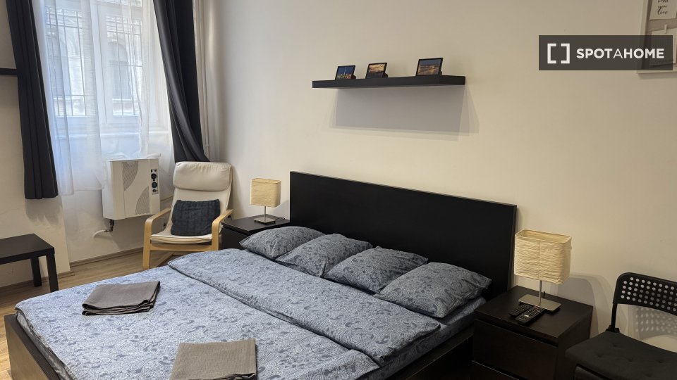 Apartment mono Budapest, 40m² — photo 6