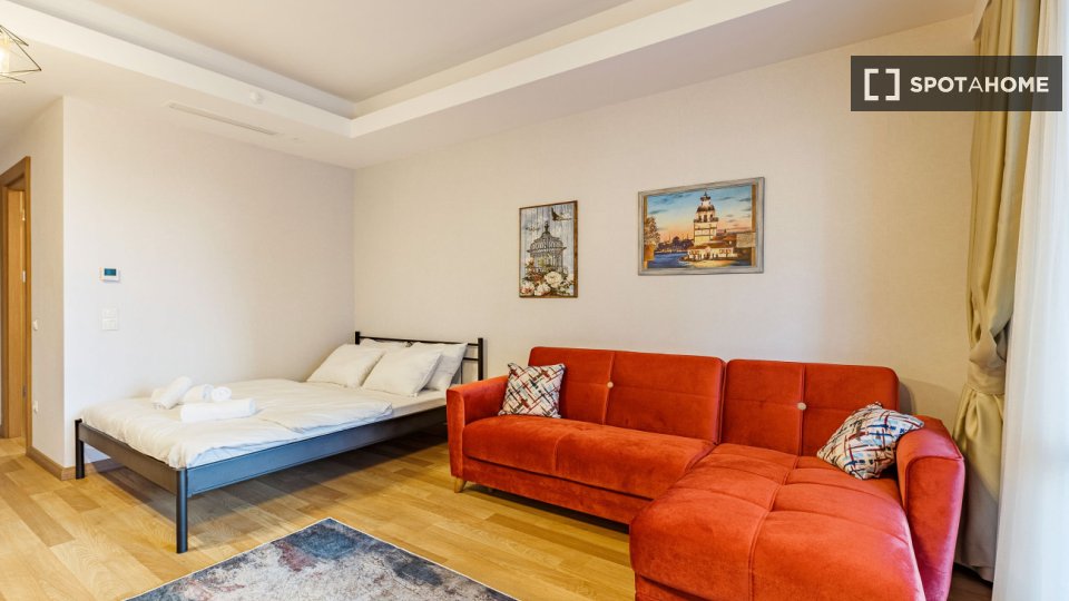 Apartment Istanbul, 1 bed — photo 8