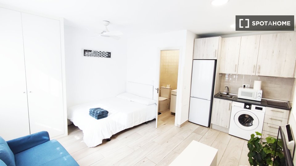 Apartment mono Madrid — photo 13