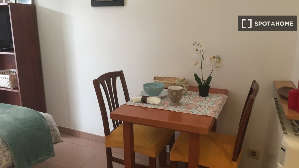 Apartment mono Madrid, 20m² — photo 15