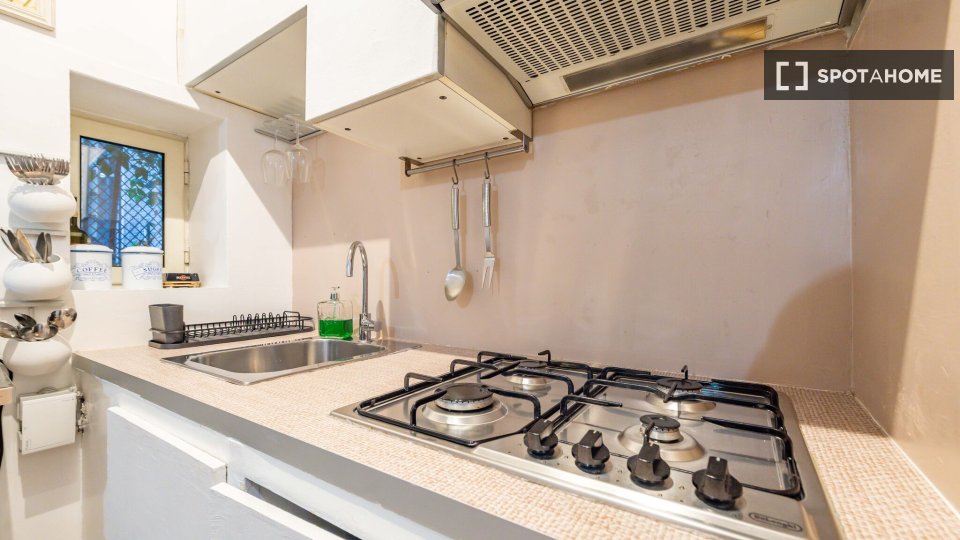 Appartamento Roma, 1 camera, 45m² — foto 18