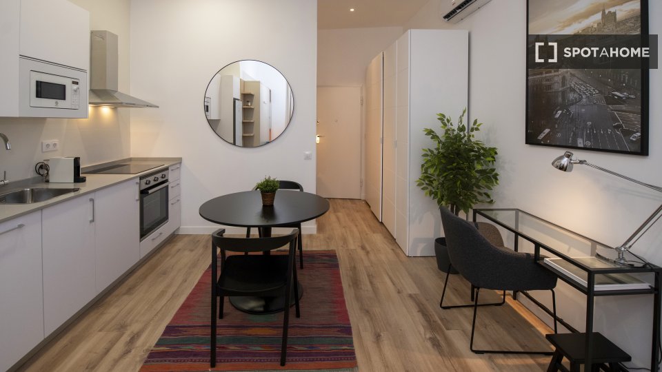 Apartment mono Madrid — photo 4