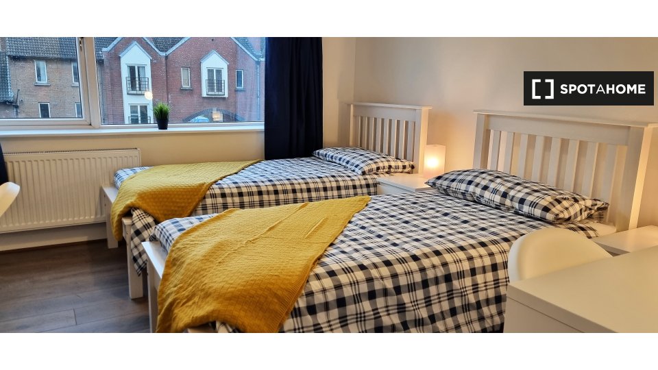 Double room Dublin, 12 beds — photo 15