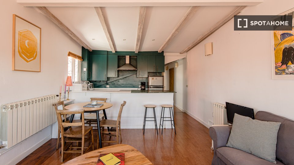 Apartment Madrid, 2 beds — photo 14