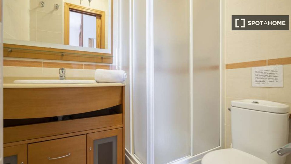 Double room Madrid, 12 beds — photo 4