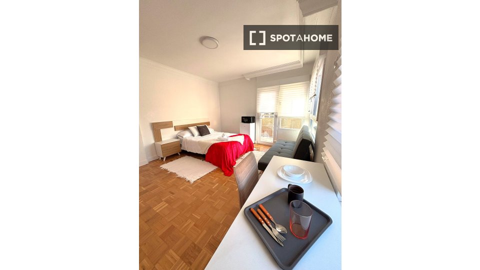 Double room Madrid, 7 beds, 160m² — photo 29