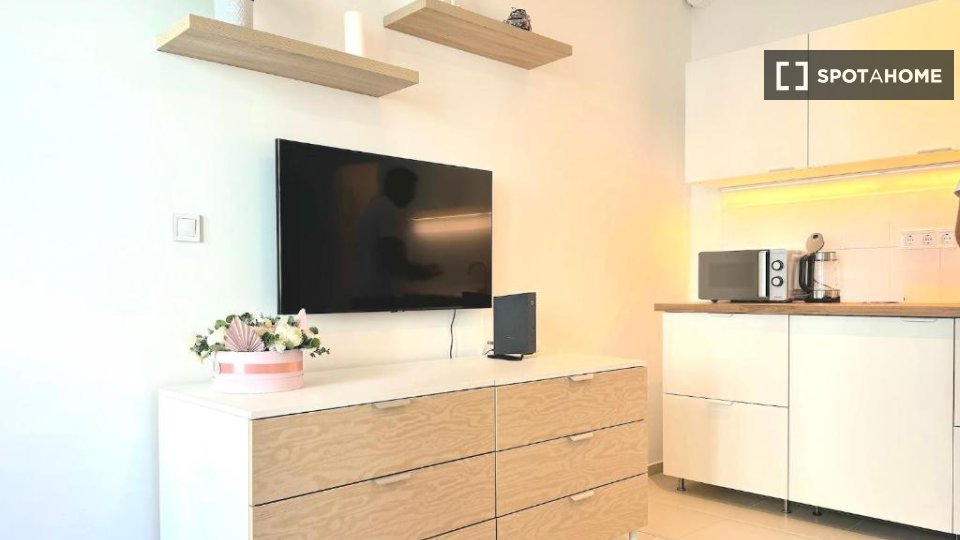 Apartment mono Budapest, 26m² — photo 8