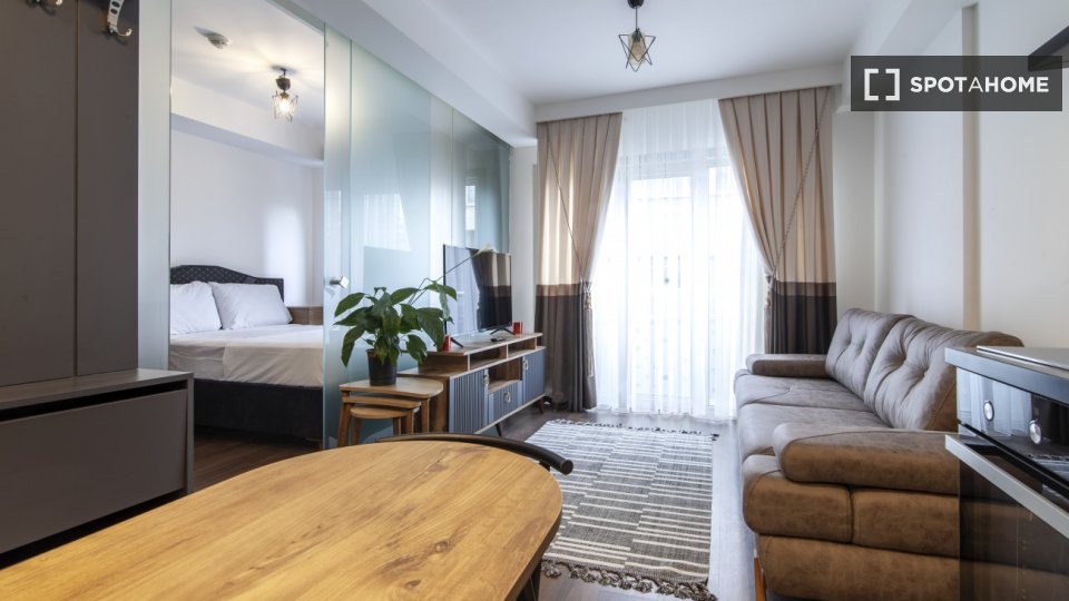 Apartment Istanbul, 1 bed — photo 10