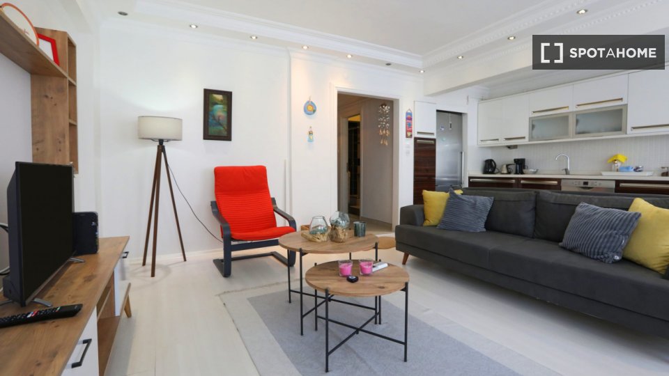 Apartment Istanbul, 1 bed — photo 4