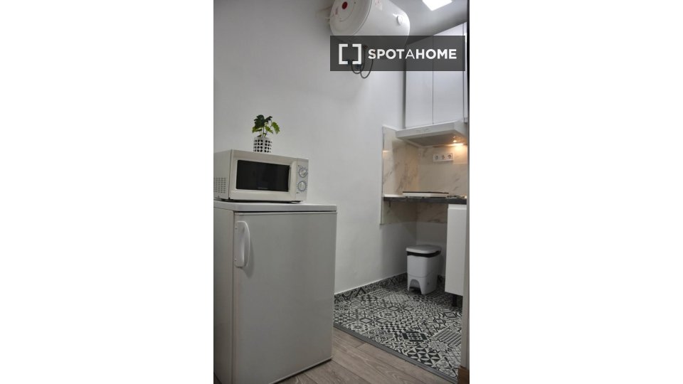 Apartment mono Madrid, 25m² — photo 2