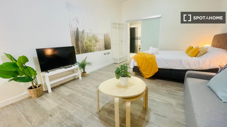 Apartment mono Malaga, 40m² — photo 2