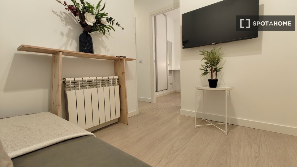 Double room Madrid, 2 beds — photo 10