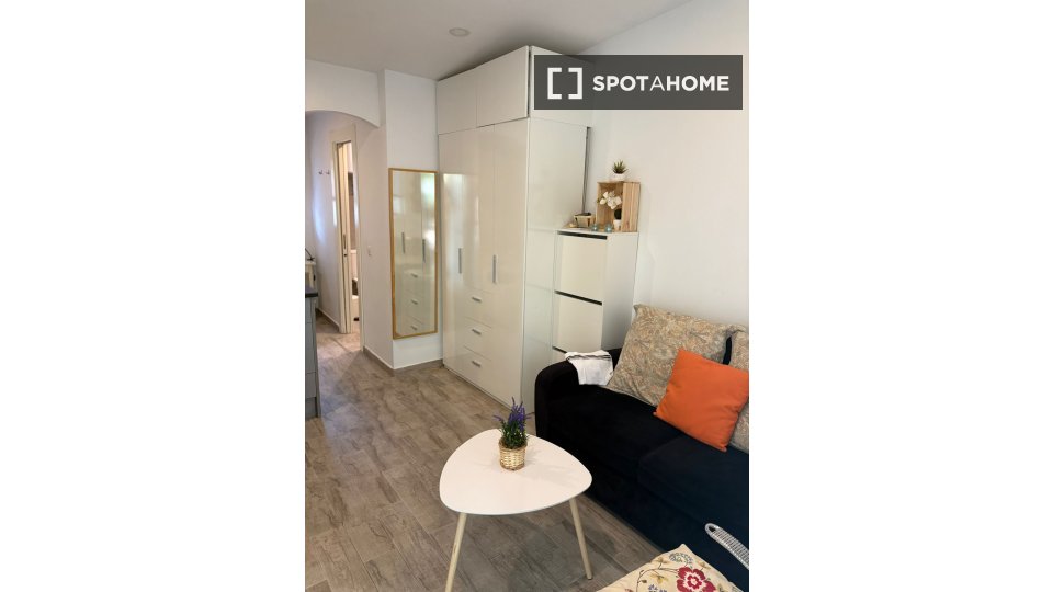 Apartment mono Madrid, 24m² — photo 6