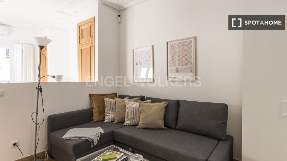 Apartment mono Madrid, 50m² — photo 8
