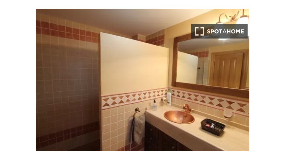 Apartment Madrid, 7 beds — photo 6