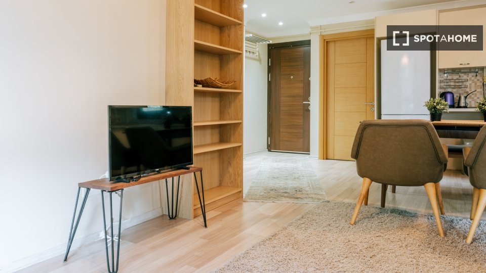 Apartment Istanbul, 1 bed — photo 13