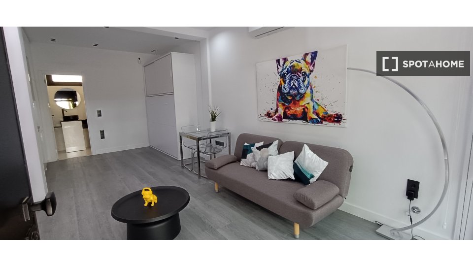 Apartment mono Madrid — photo 22
