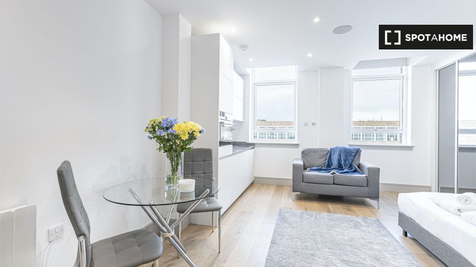 Studio Apartment for rent in Tottenham, London (ref 600918) Spotahome