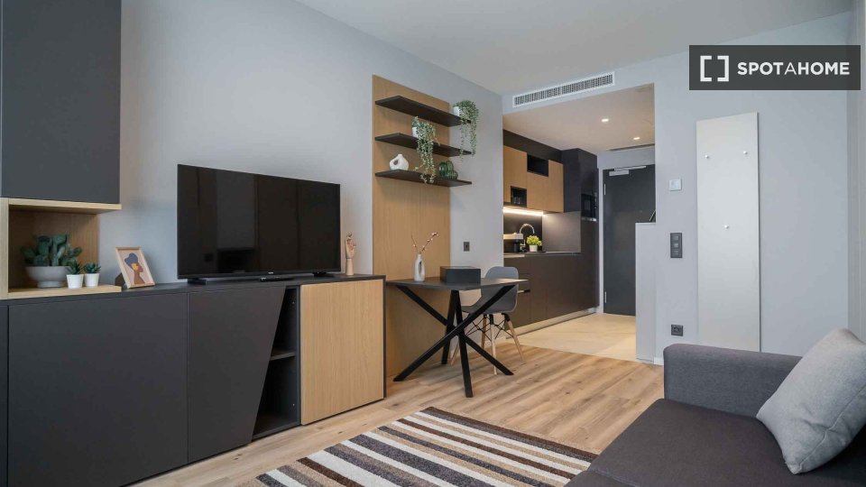 Apartment mono Berlin, 20m² — photo 3