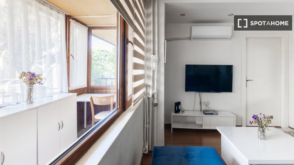 Apartment Istanbul, 1 bed — photo 13
