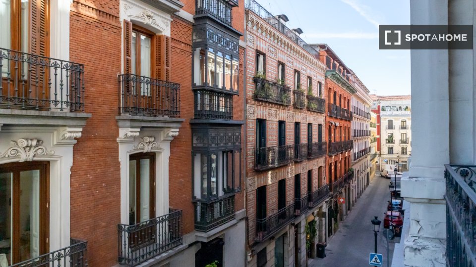Double room Madrid, 7 beds, 160m² — photo 56