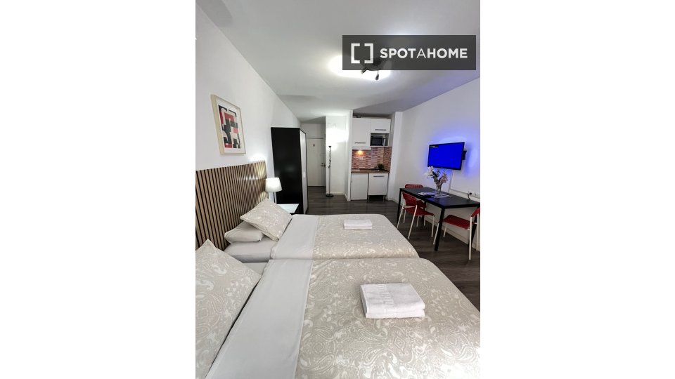 Apartment mono Madrid, 25m² — photo 22
