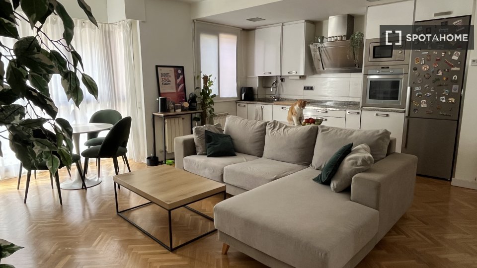 Double room Madrid, 2 beds, 90m² — photo 4