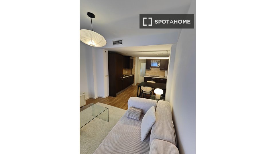 Apartment Madrid, 1 bed — photo 16