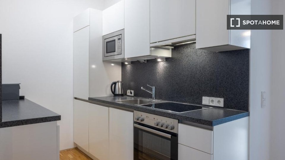 Apartment Vienna, 1 bed — photo 4