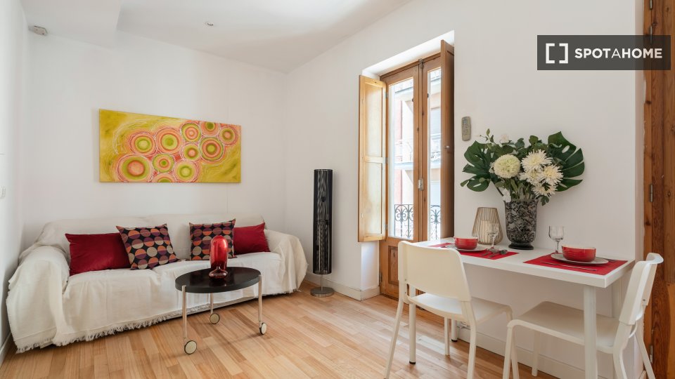 Apartment Madrid, 1 bed — photo 6