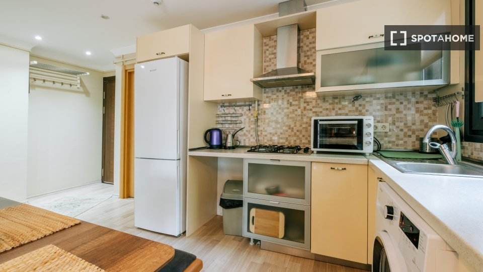 Apartment Istanbul, 1 bed — photo 10