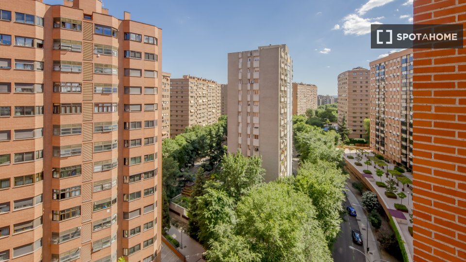 Double room Madrid, 6 beds, 150m² — photo 17