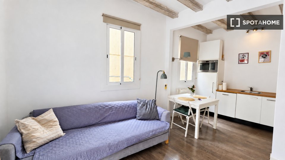 Apartment Barcelona, 2 beds, 40m² — photo 20