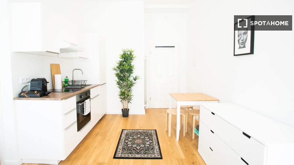 Apartment mono Berlin, 30m² — photo 4