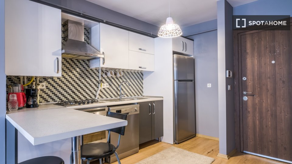 Apartment Istanbul, 1 bed — photo 18