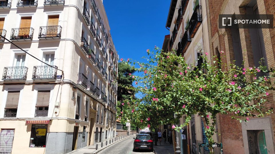 Apartment mono Madrid, 32m² — photo 21