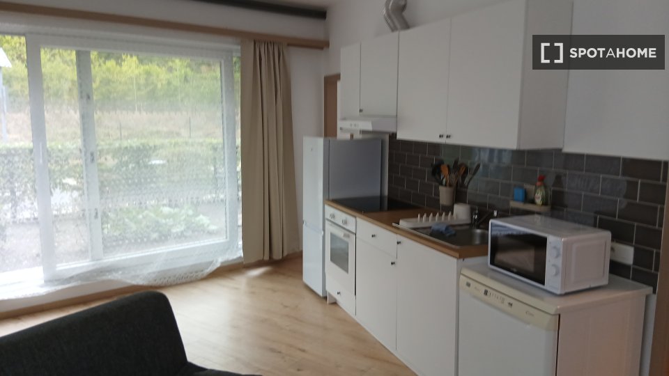 Apartment Brussels, 1 bed, 50m² — photo 6