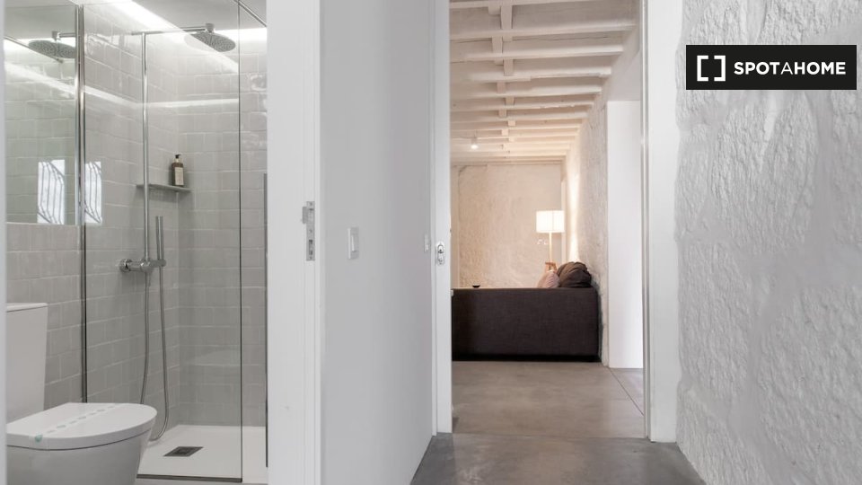 Apartment Porto, 3 beds — photo 11