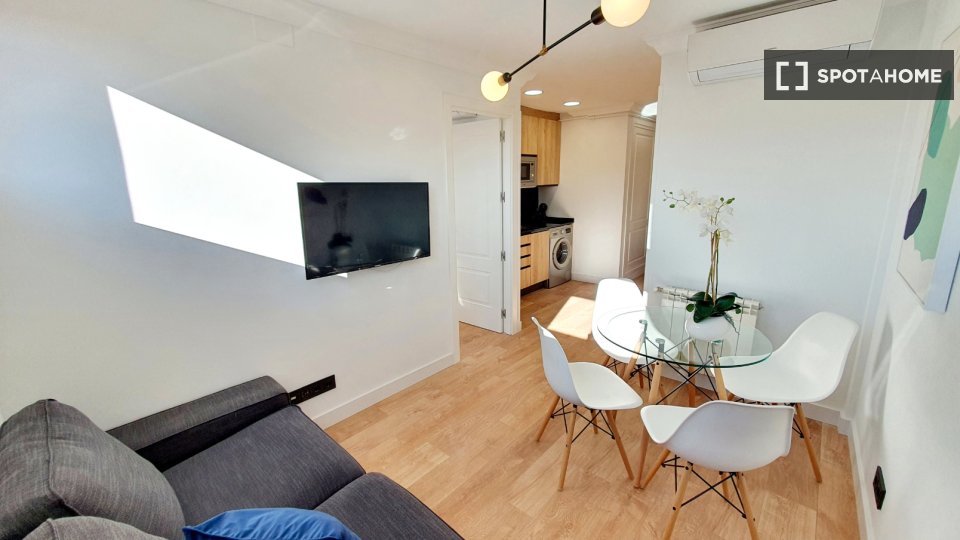 Apartment mono Madrid, 40m² — photo 3