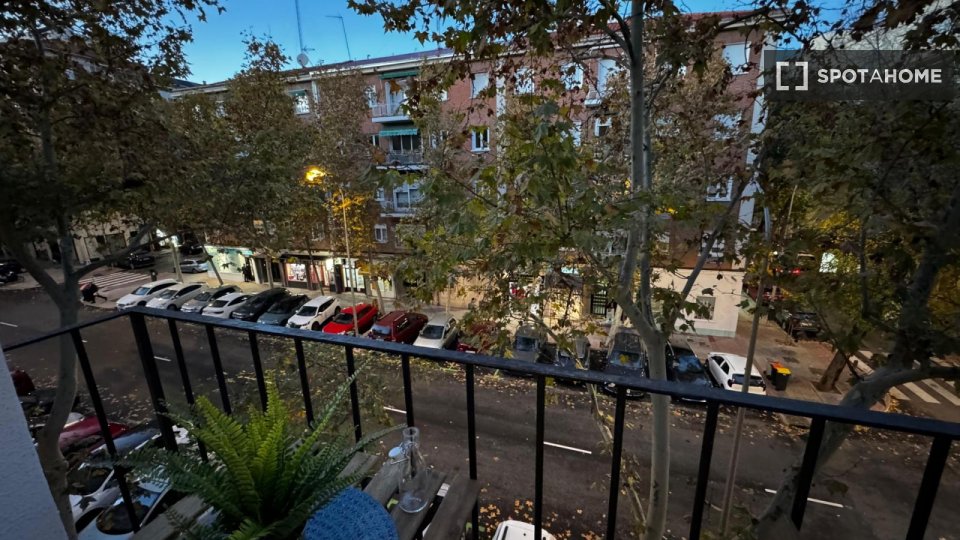 Double room Madrid, 5 beds — photo 15
