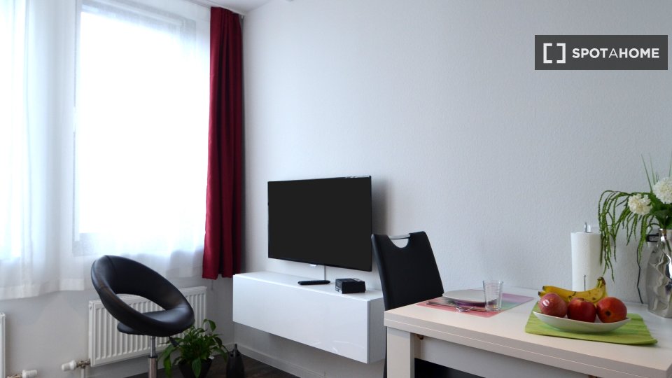 Apartment mono Frankfurt — photo 4